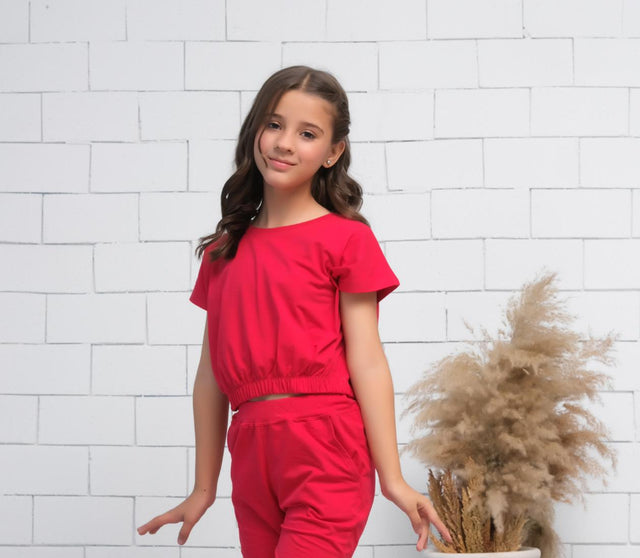 Red - Crop Basic Tee - Jersey