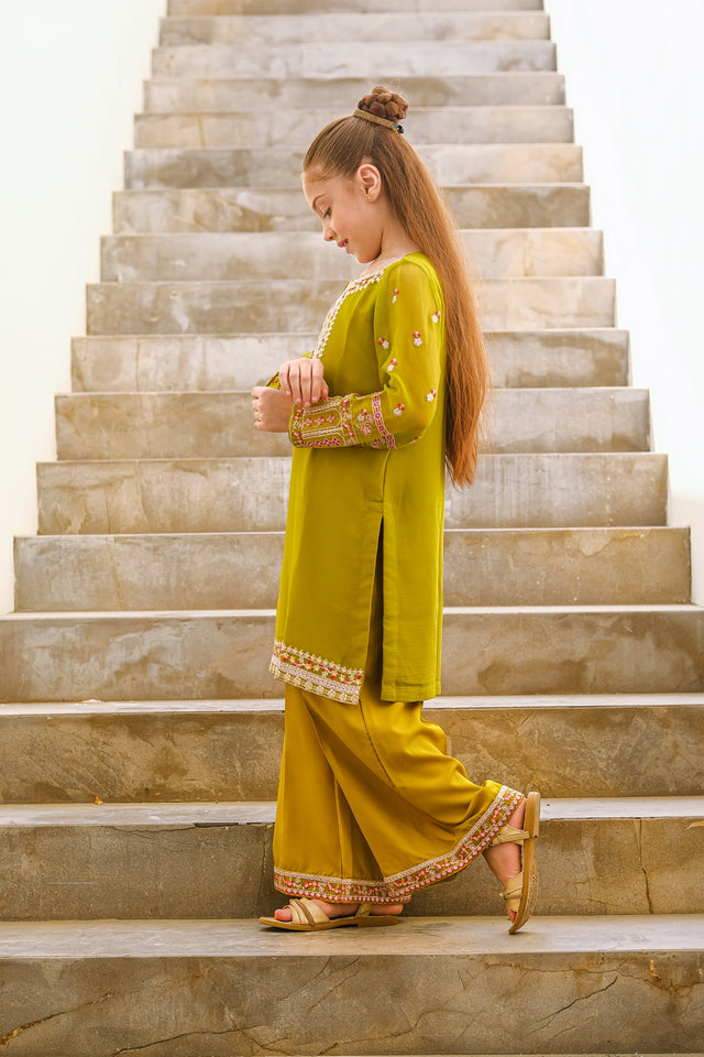 Anaya - 2ps Embroidered