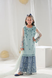 Hania - 3pcs Embroidered Gharara - festive - Sprinkles Pakistan