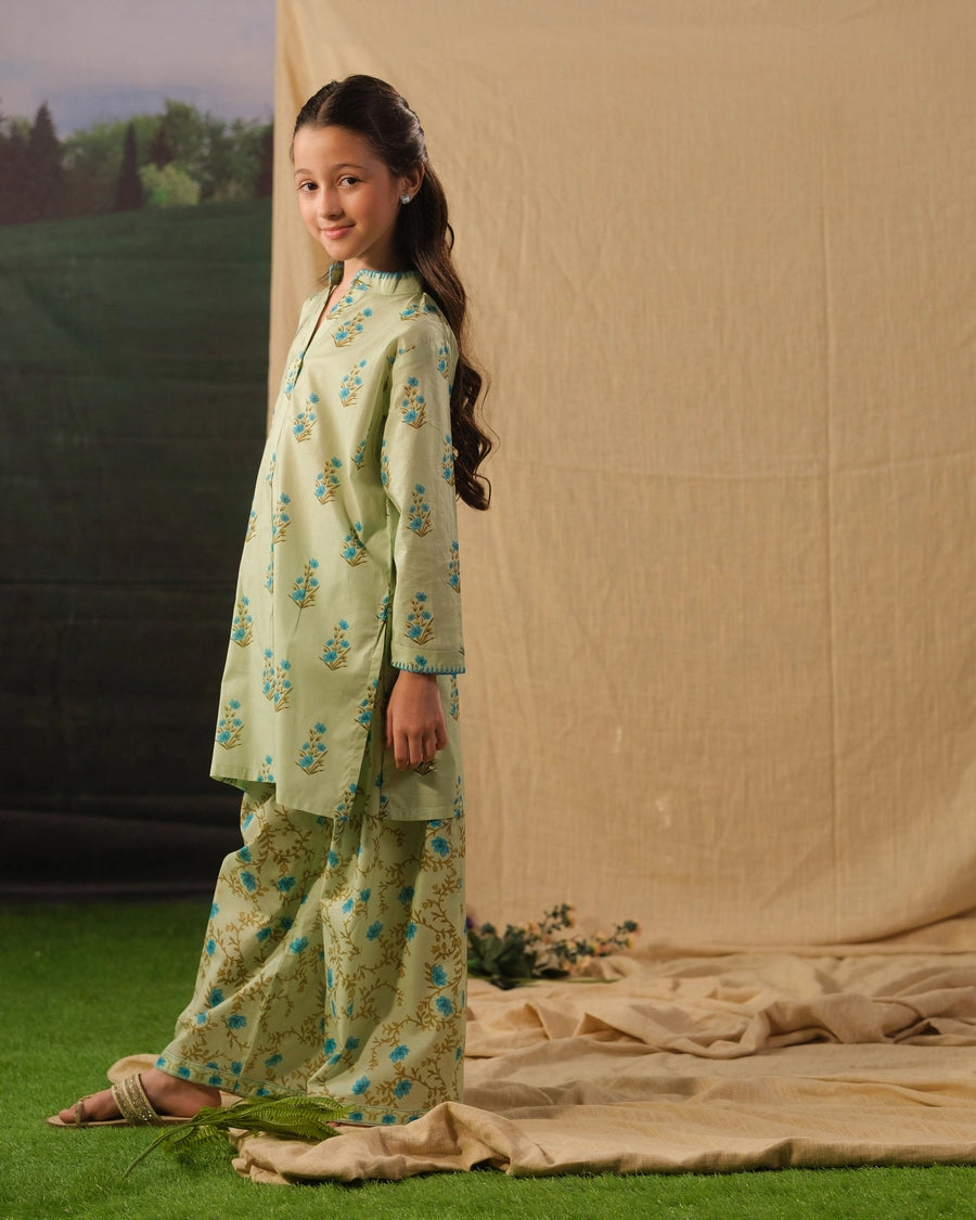 Bluebell Whisp - 2pcs - Cotton/Lawn - 2pcs-ready-to-wear - Sprinkles Pakistan