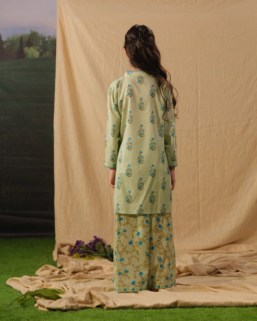 Bluebell Whisp - 2pcs - Cotton/Lawn - 2pcs-ready-to-wear - Sprinkles Pakistan