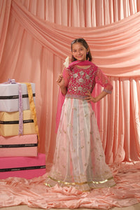 Pink Stardust Lehenga - 3pcs - Sequence Embroidered Net - Festive - Sprinkles Pakistan
