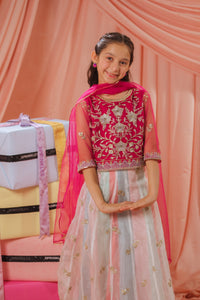 Pink Stardust Lehenga - 3pcs - Sequence Embroidered Net - Festive - Sprinkles Pakistan