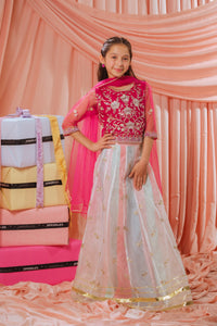 Pink Stardust Lehenga - 3pcs - Sequence Embroidered Net - Festive - Sprinkles Pakistan