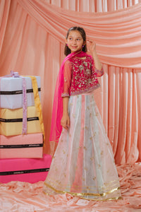 Pink Stardust Lehenga - 3pcs - Sequence Embroidered Net - Festive - Sprinkles Pakistan