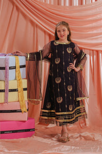 Royal Ember - 3pcs - Sequence Embroidered Net - Festive - Sprinkles Pakistan