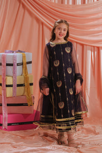 Royal Ember - 3pcs - Sequence Embroidered Net - Festive - Sprinkles Pakistan