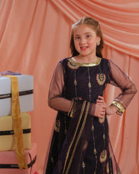 Royal Ember - 3pcs - Sequence Embroidered Net - Festive - Sprinkles Pakistan