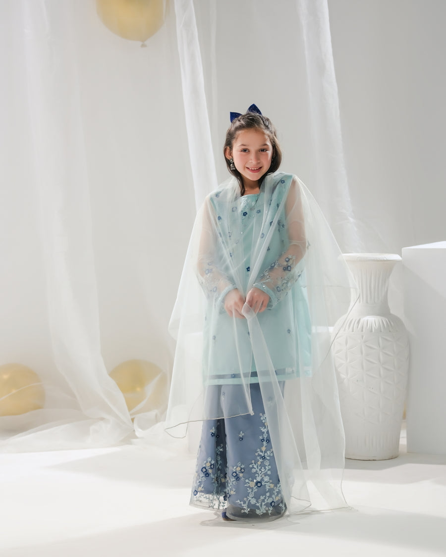 Hania - 3pcs Embroidered Gharara - festive - Sprinkles Pakistan