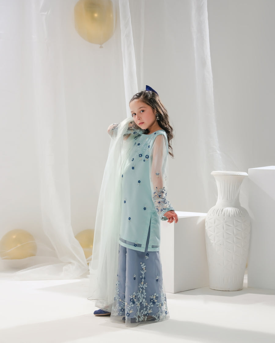 Hania - 3pcs Embroidered Gharara - festive - Sprinkles Pakistan