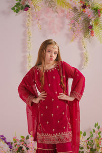Aria - 3pcs - Chiffon With Embroidery + Sequence - festive - Sprinkles Pakistan