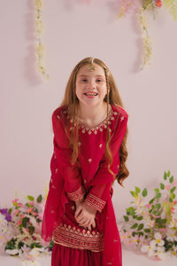 Aria - 3pcs - Chiffon With Embroidery + Sequence - festive - Sprinkles Pakistan