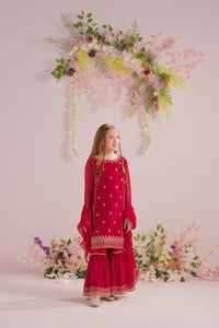 Aria - 3pcs - Chiffon With Embroidery + Sequence - festive - Sprinkles Pakistan