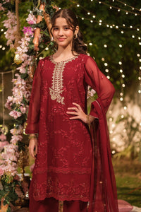 Mehr-un-Nisa - 3pcs - Sequence Embroidered Chiffon - Festive - Sprinkles Pakistan