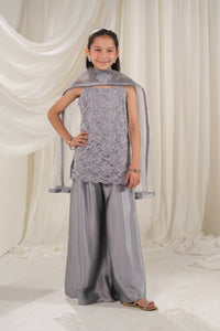 Silver Mirage - 3pcs - Net & Sik - Festive - Sprinkles Pakistan