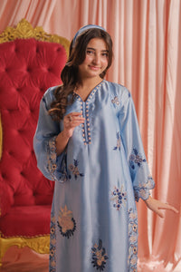 Sky Elegance - 1pc - Embroidered - Charmeuse Silk - Festive - Sprinkles Pakistan